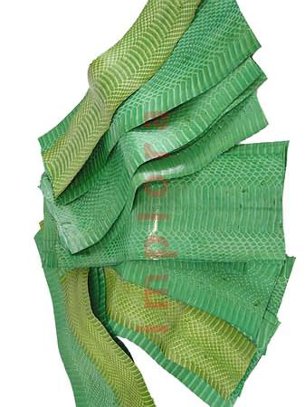 Snake Skin Scraps Pieces Assorted Green
