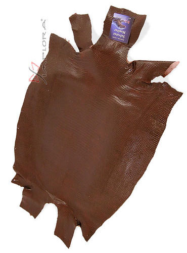 Leather Implora Brown Monitor Lizard Skin Belly