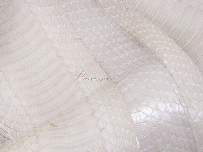Implora Off-White Cobra Snake Skin Hide Belly