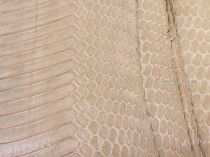 Implora Mixed Tan Cobra Snake Skin Hide Belly