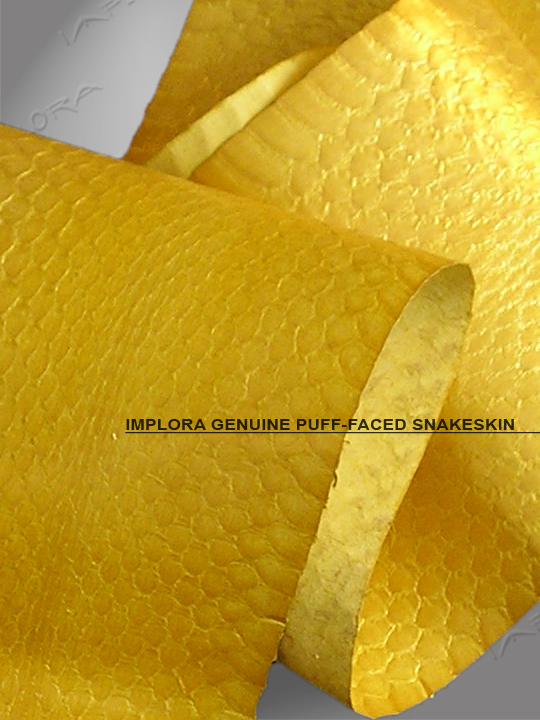 Implora Solid Gold Metallic Puff-Faced Snakeskin