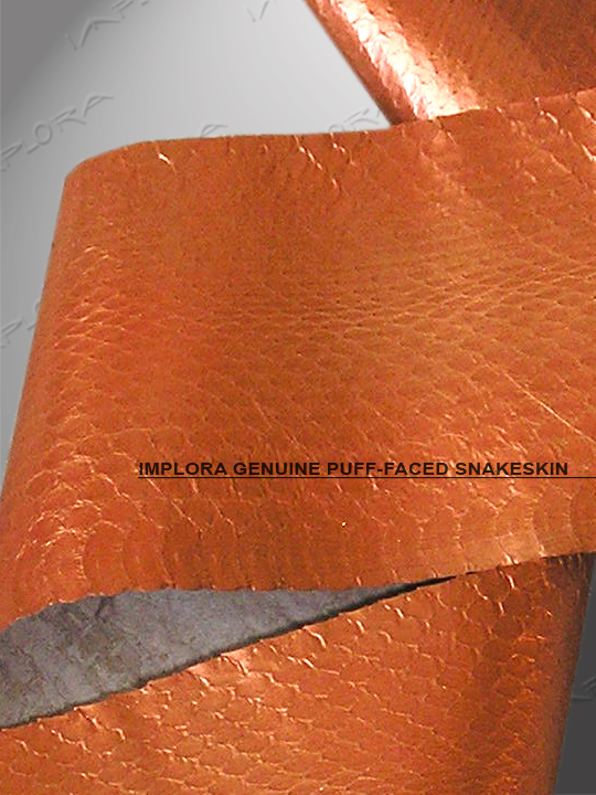 Solid Bronze Metallic Puff-Faced Snakeskin