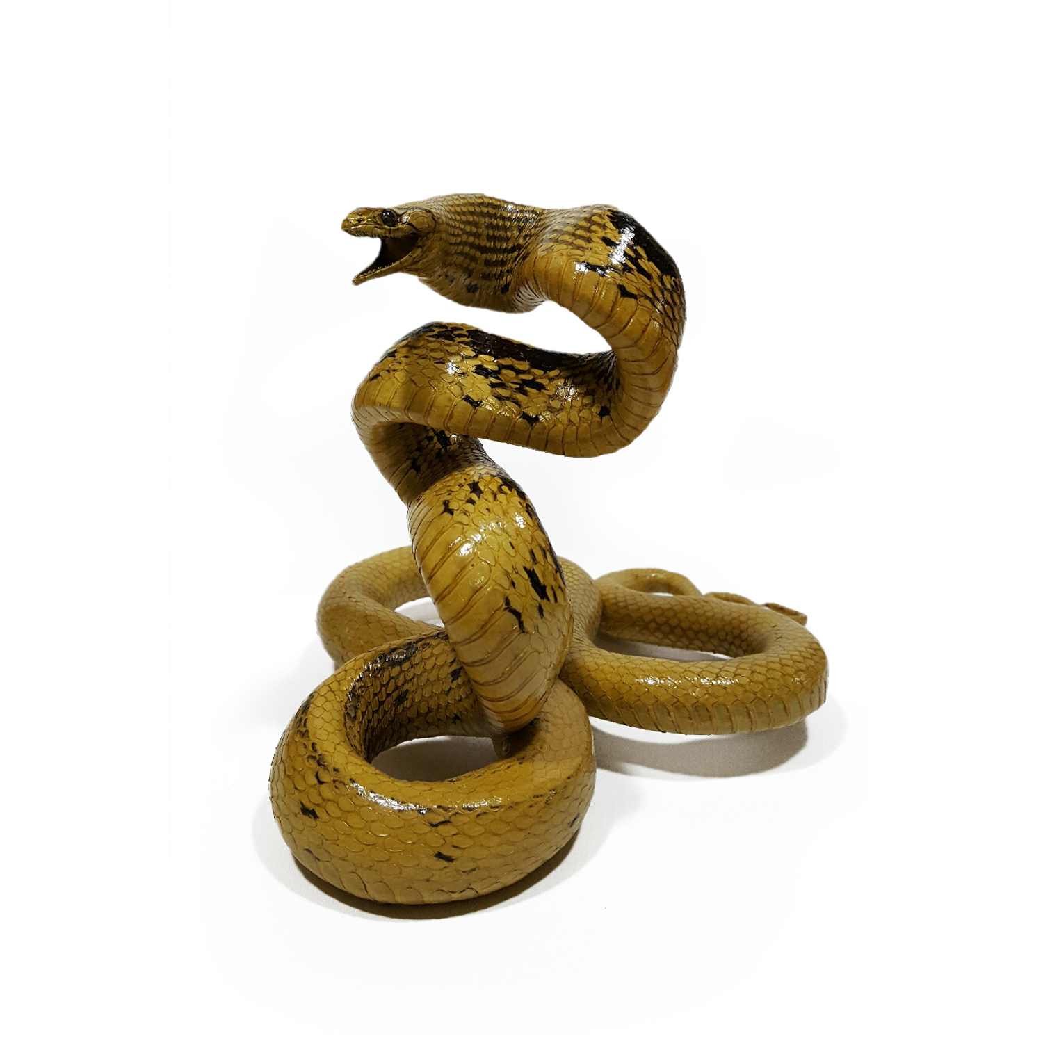 Leather Copperhead Racer Snake Watching Style Taxidermy Mount