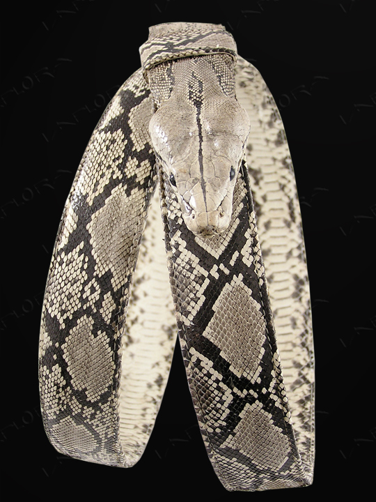 Snakeskins Implora Natural Python Head Snake Belt