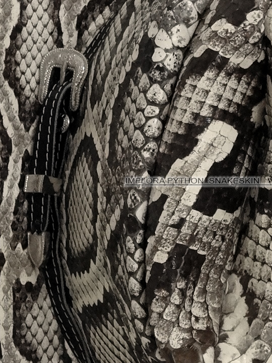 Snakeskin Cowboy Hat Burmese Python Home Decor